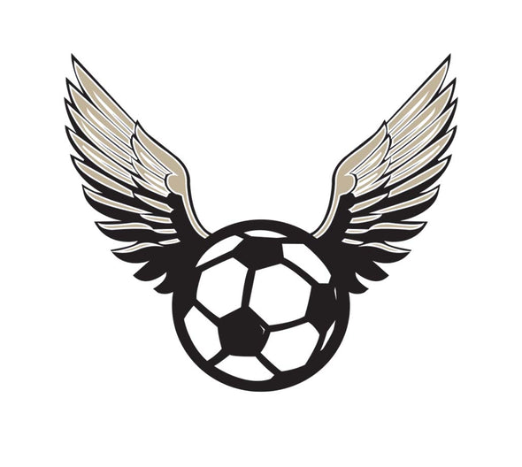 Soccer Ball Wings